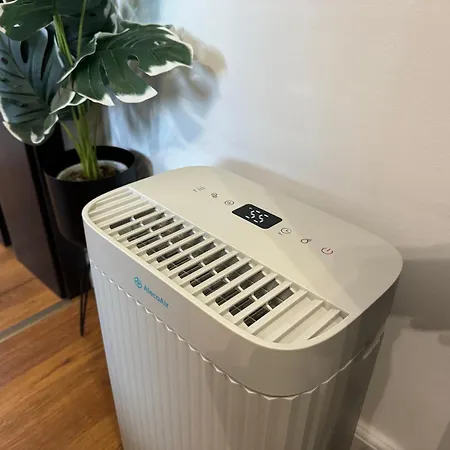 Ramona's Cosy Апартаменты Тимишоара