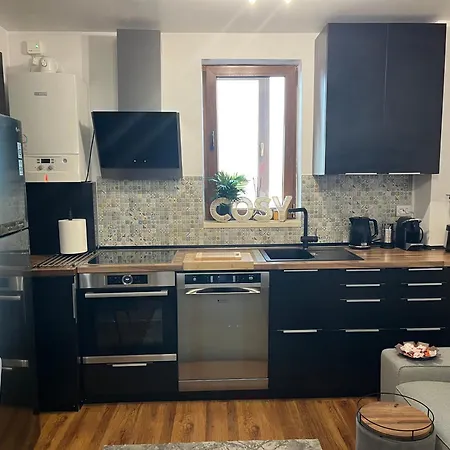 Апартаменты Ramona's Cosy Тимишоара