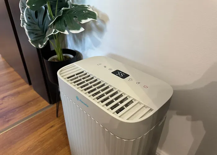 Ramona's Cosy Apartmán Temešvár