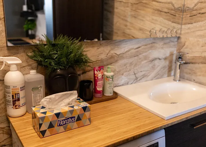 Ramona's Cosy Timişoara